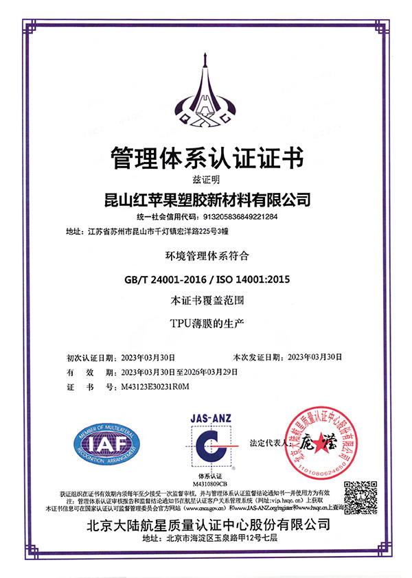 Management System Certification