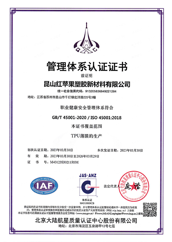 Management System Certification